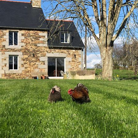 Maison Chic Proche Du Mont Saint Michel Marcilly (Manche) Exterior foto