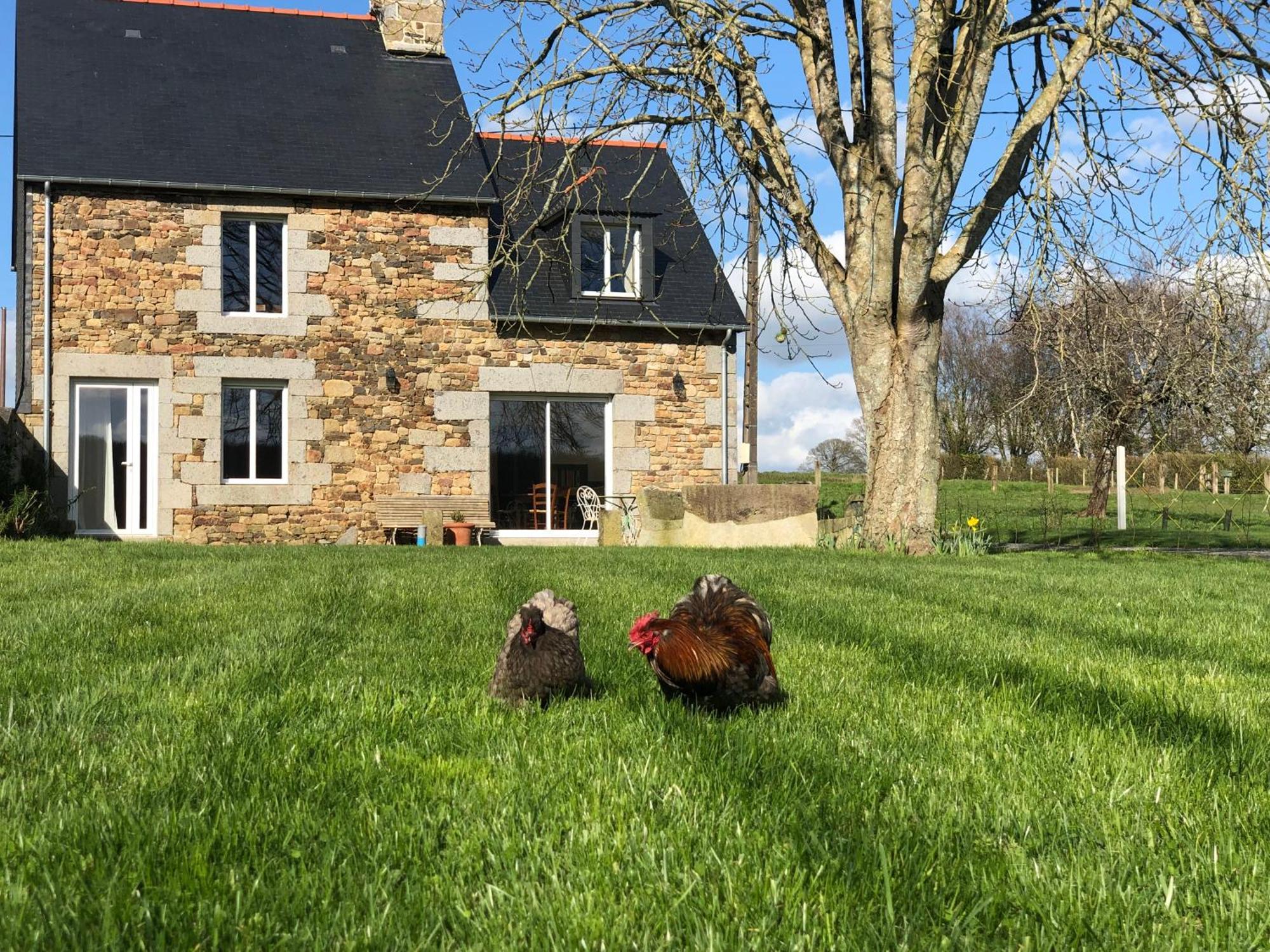 Maison Chic Proche Du Mont Saint Michel Marcilly (Manche) Exterior foto